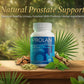 Prolan – Advanced Prostate Health & Maximum Care